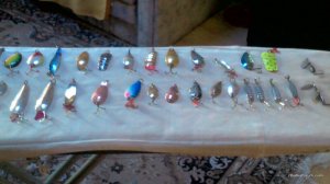 P_20160423_180543.jpg