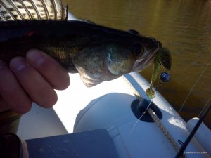 IMG_20160423_082220.jpg