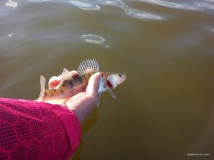 IMG_20160423_170030.jpg