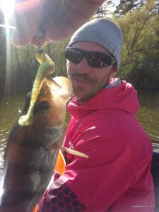 IMG_20160423_161558.jpg