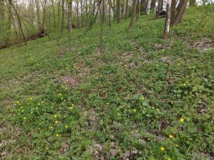 IMG_20160423_154908.jpg