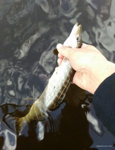 _20160424_114237.jpg