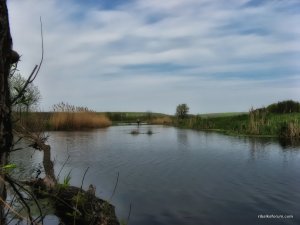IMG_0522.JPG