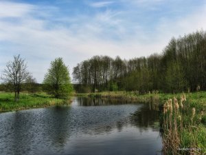 IMG_0525.JPG