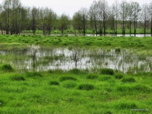 IMG_0526.JPG