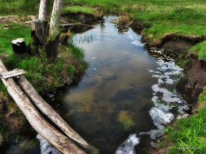 IMG_0545.JPG