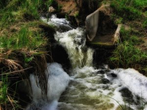 IMG_0560.JPG