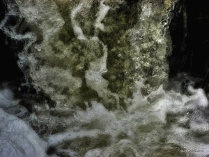 IMG_0563.JPG