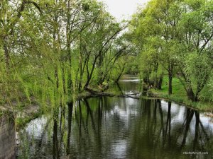 IMG_0582.JPG