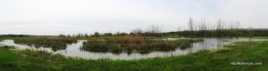STA_0593.JPG