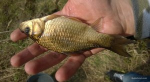 WP_20160424_016.jpg