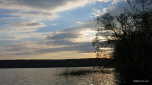 IMG_3772.JPG