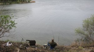IMG_3801.JPG