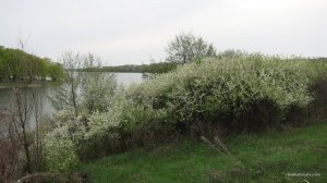 IMG_3816.JPG