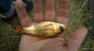 WP_20160424_017.jpg