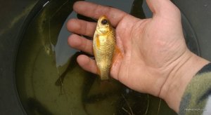 WP_20160424_026.jpg
