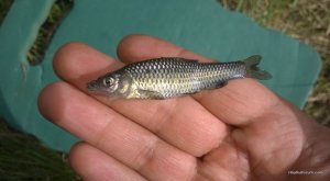 WP_20160424_034.jpg