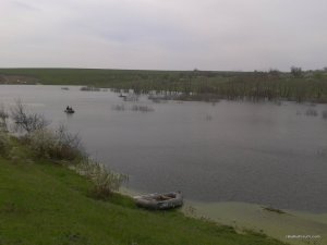 2016-04-24 13.23.57.jpg
