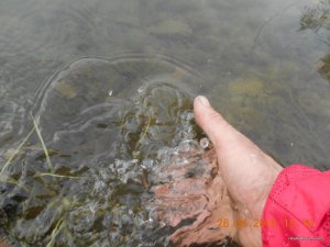 DSCN1450.JPG
