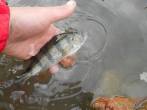 DSCN1461.JPG