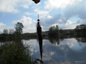 DSCN0209.JPG