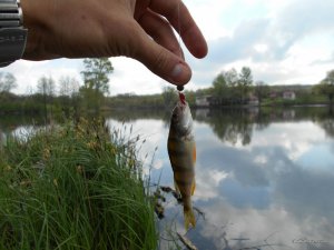 DSCN0210.JPG