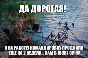 image-7.jpg