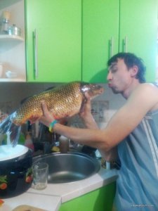 изображение.jpg