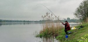 P60429-071637-01.jpeg