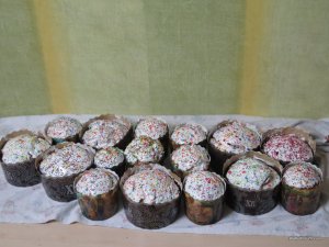IMG_8185.JPG