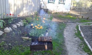 20160429_182130.jpg
