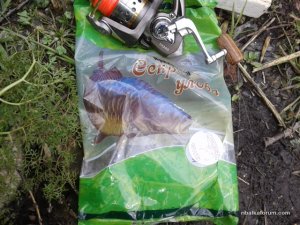 20160430_103726.jpg