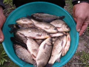20160430_110017.jpg
