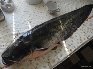 DSCN8056.JPG