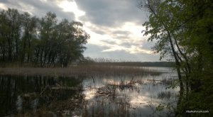 WP_20160501_010.jpg