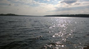 WP_20160501_014.jpg