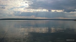 WP_20160501_032.jpg