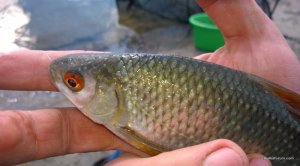 WP_20160501_026.jpg