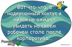 8kWY9-JvXdE.jpg