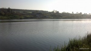 IMG_20160502_065636_932.jpg