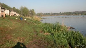IMG_20160502_065626_707.jpg