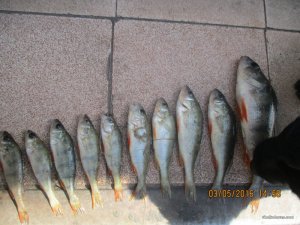 IMG_1376.JPG