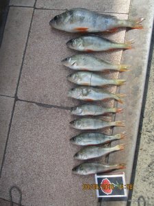 IMG_1377.JPG
