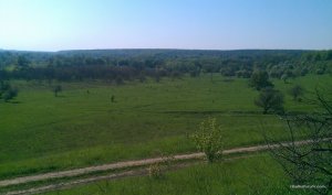 IMAG0053.jpg