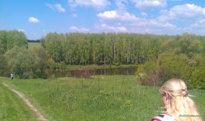 IMAG0054.jpg