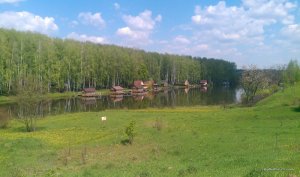 IMAG0057.jpg