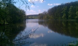 IMAG0058.jpg