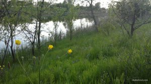 2016-05-02-1009.jpg