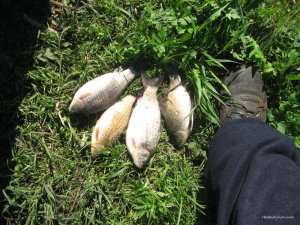 IMG_0104.JPG