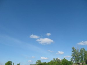 IMG_0107.JPG